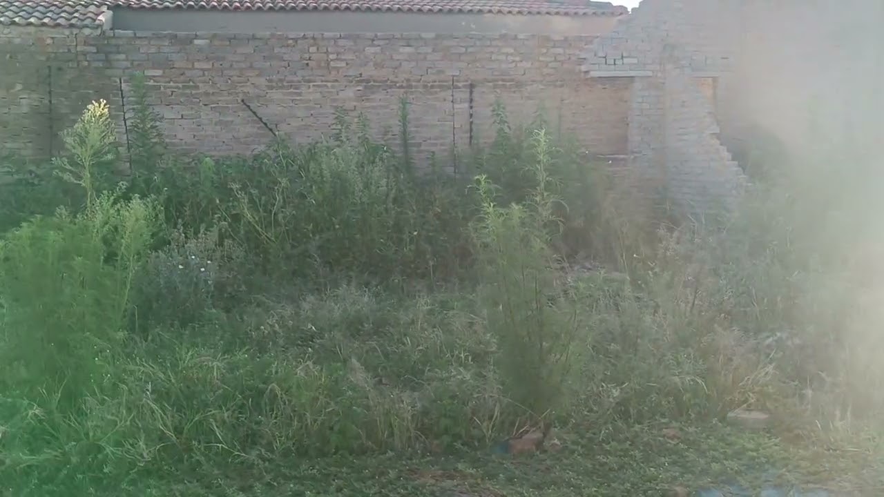 Protea Glen-Serviced Stand