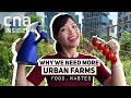 Can Urban Farming Fix Our Broken Relationship With Food? | Food, Wasted 3/3