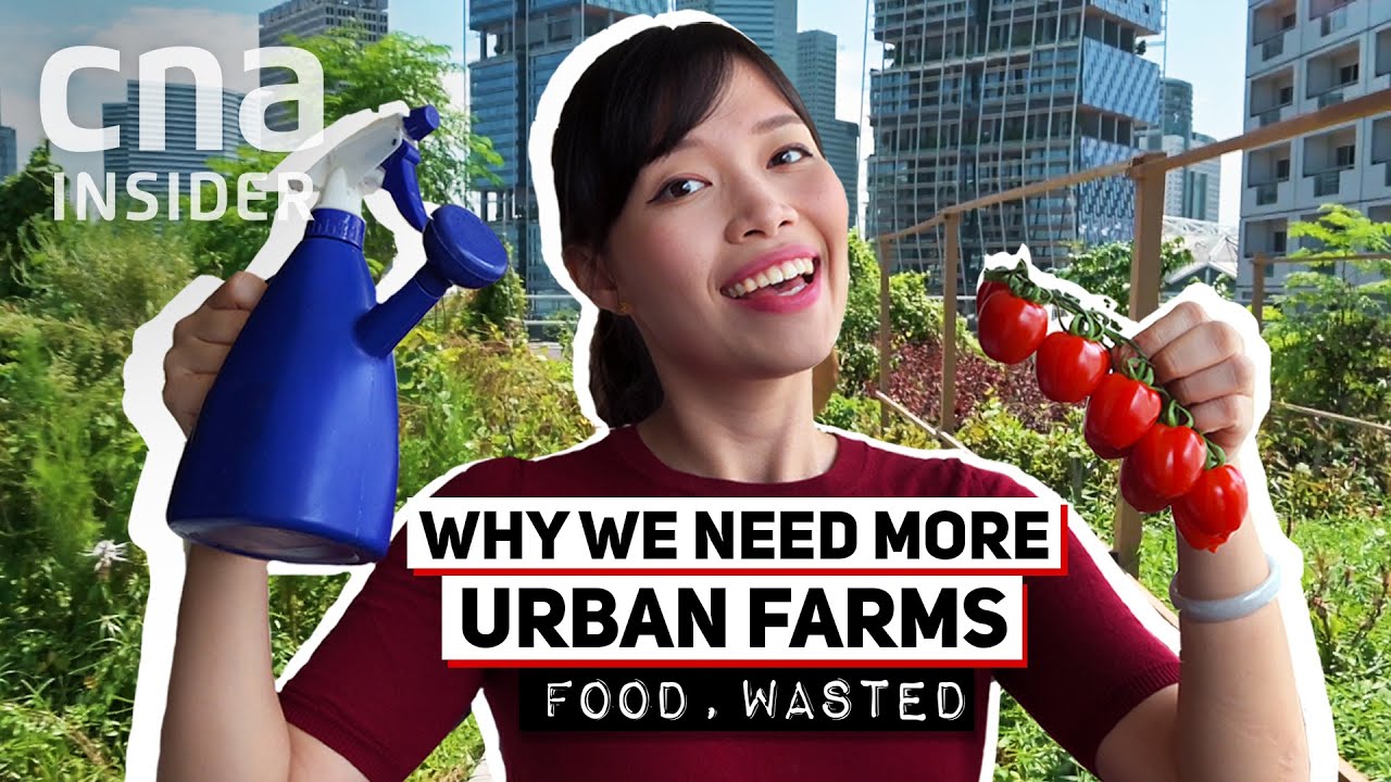 Can Urban Farming Fix Our Broken Relationship With Food? | Food, Wasted 3/3