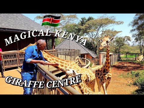 Travel to Giraffe