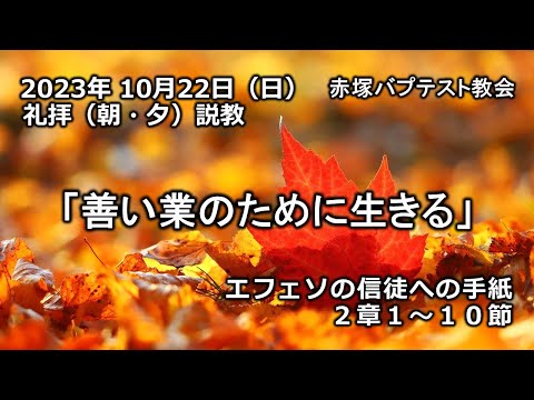 「善い業のために生きる」エフェソの信徒への手紙2章1～10節 2023/10/22/SUN. 赤塚教会礼拝説教（朝・夕）