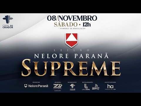 LOTE 23 PAR 7777 COM GENÉTICA