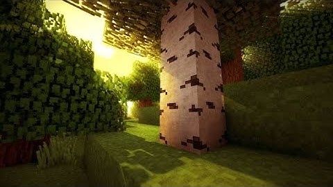 Ultra Real Shader Vgpu Pojav launcher {*Not Click Bait}