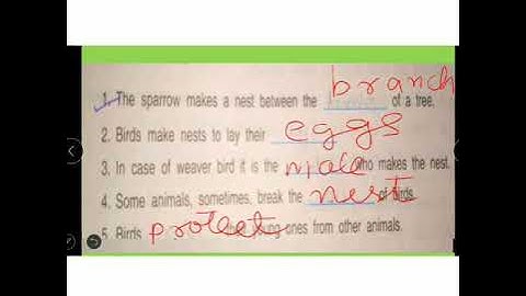 Std 3 Birds and their nest part8