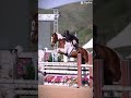Hunters!!! #horse #equestrian #hunterjumping #fyp