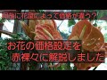 hanacocochi「はなここち」お花の値段ってどうやって決まるの？花屋が赤裸々に解説します。