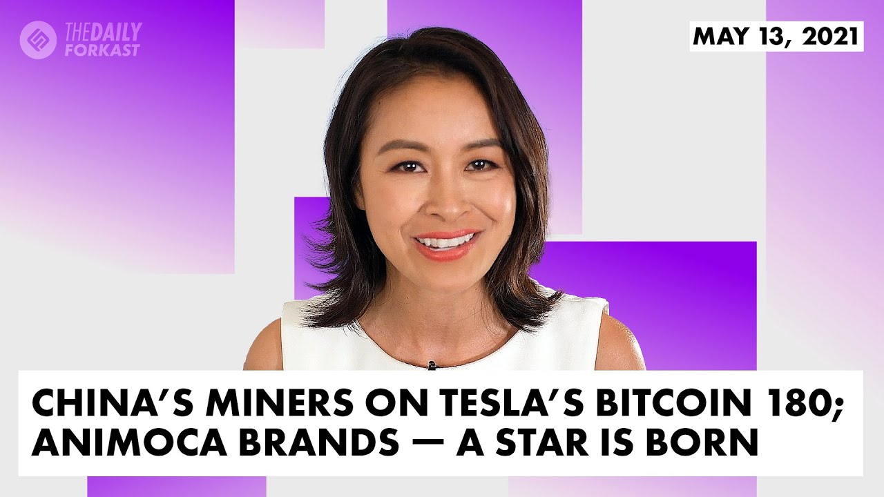 China’s miners on Tesla’s Bitcoin 180; Animoca Brands — a star is born |  The Daily Forkast