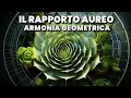 La sezione aurea e la sorprendente armonia geometrica delle piante