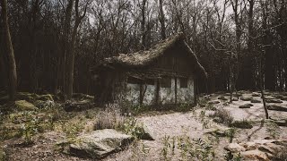 Forest path realism with UE5 and Lumen