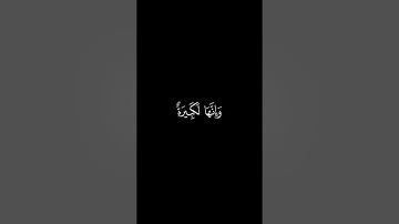 أَتَأمُرونَ النّاسَ بِالبِرِّ || كروما قران كريم شاشة سوداء || محمد اللحيدان