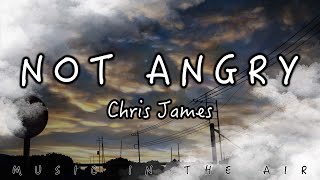 Not Angry - Chris James『I'm not angry anymore Just a little bit let down』【動態歌詞】