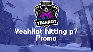 Yeahnot Hitting P? Promo.