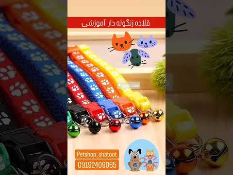 قلاده آموزشی زنگوله دار تنظیم شو حیوان خانگی پتشاپ سگ گربه قلاده قلاده آموزشی زنگوله Pets 