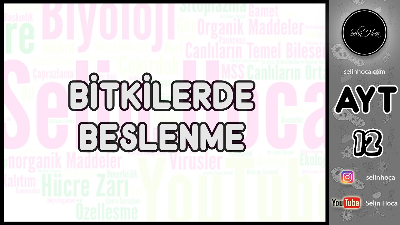 23) Bitkilerde Beslenme