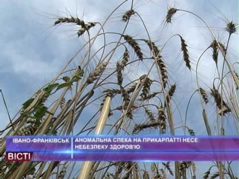 Аномальна спека на Прикарпатті несе небезпеку здоров"ю