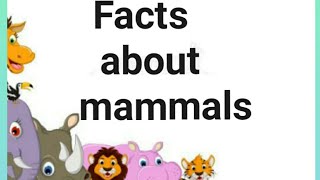 5 facts about mammals #facts #mammal #animals @ArtsofAshwith