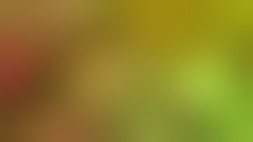 SCROG UPDATE. #3. Flip 12/01/19