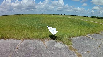 $1 Foam Board Delta plane FLYING   $5 scratchbuild challenge