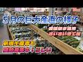 巨大産直の5月の様子！5月はビールとソラマメ！野菜を出荷して小遣い稼ごう！？