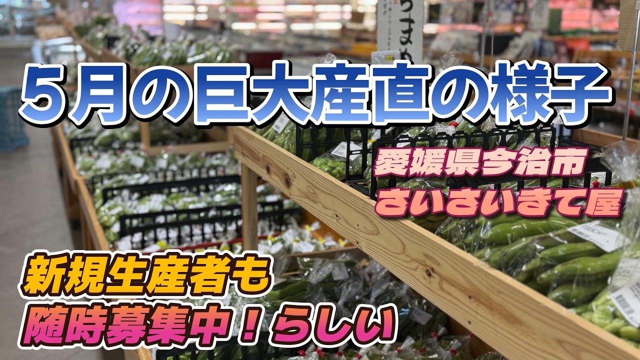 巨大産直の5月の様子！5月はビールとソラマメ！野菜を出荷して小遣い稼ごう！？
