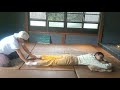 長老のヨクトーンデモ 子宮卵巣マッサージ【Yok Thong】