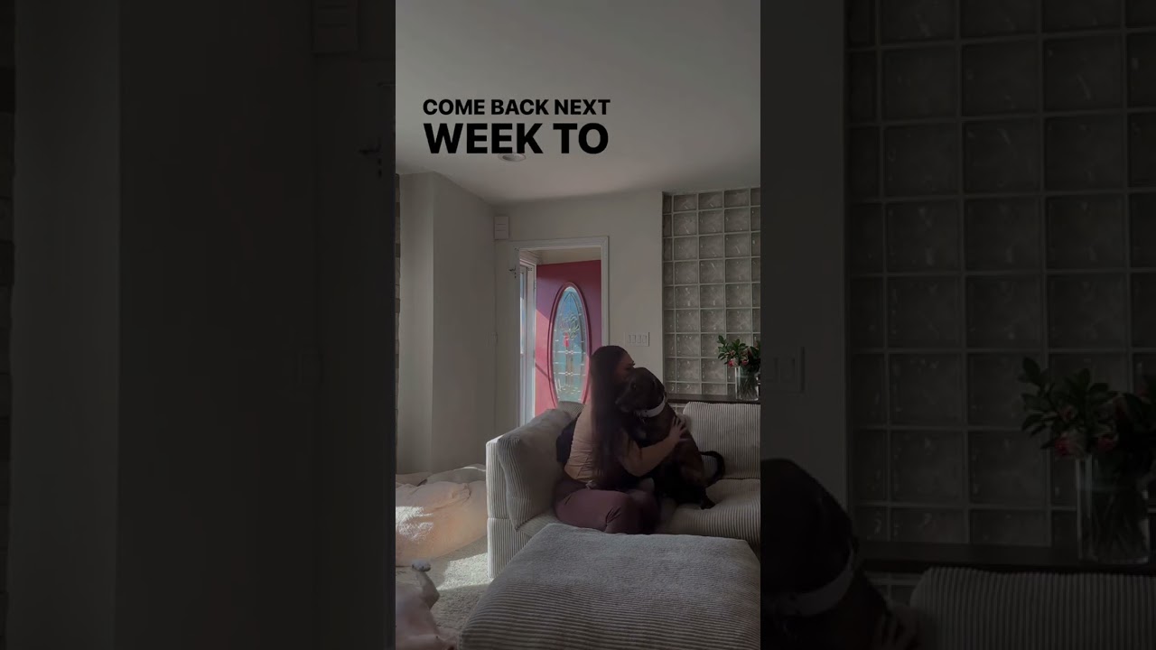 How I Started Quinn’s Service Dog Journey | Part 1 of 5