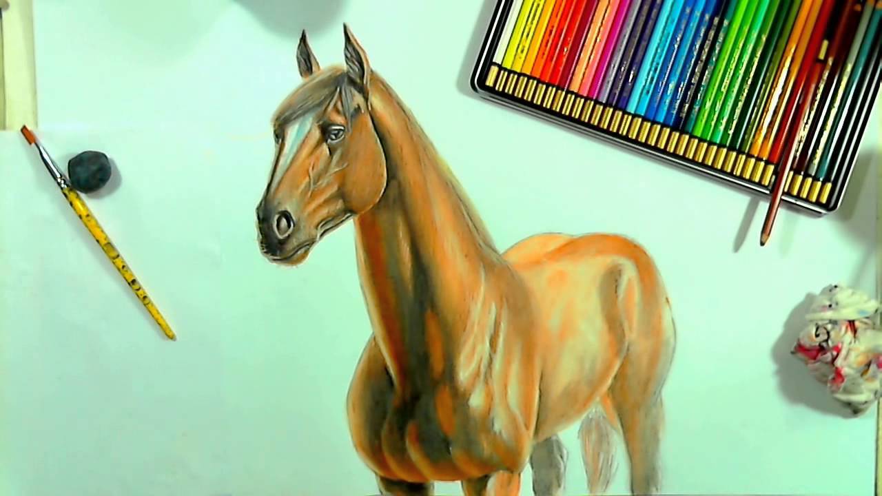 Aprenda a desenhar um cavalo em lápis colorido