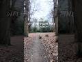 Walking in Nature #plantbased #dailyvlog #londonvlog #walkingtour