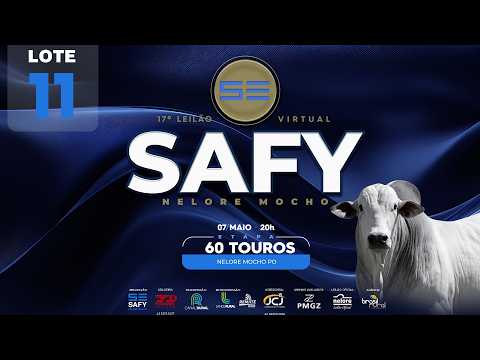 LOTE 11   SAFY 1446