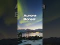 Fenômenos da Natureza Que Parecem Falsos #Natureza #Curiosidades #AuroraBoreal