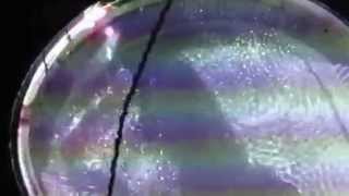 Cymatic Projection