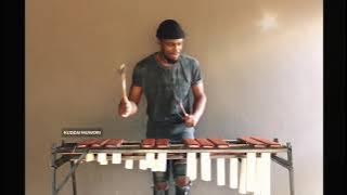 Dj Obza ft Leon Lee - Mang’Dakiwe (Marimba Cover) Zimbabwean Musician🇿🇼🇿🇦