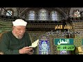 خواطر الإمام الشعراوي سورة النحل الآيات 36 41