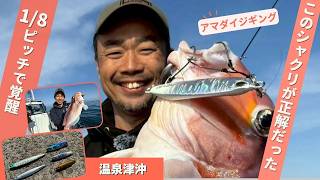 技術で攻略する一戦！温泉津沖のアマダイジギング！【フィッシングトリップ】