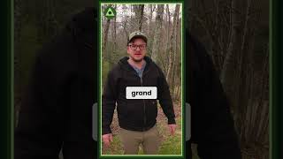 Minimalist Setup Costs $35K #shorts