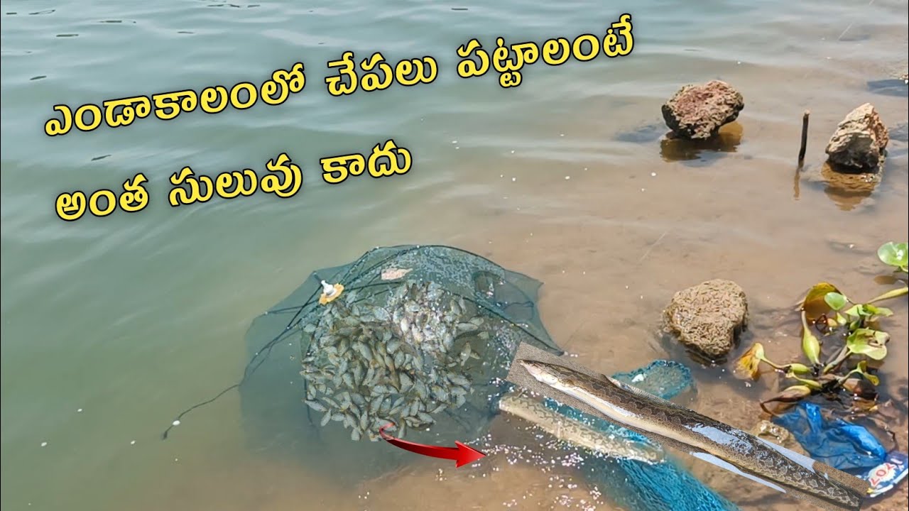 #fishing amazing fishing fish trap bomb fish river fishing #video