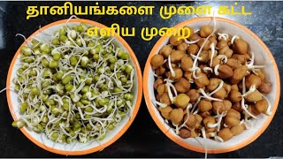 How to make sprouts simple Easy methods in Tamil