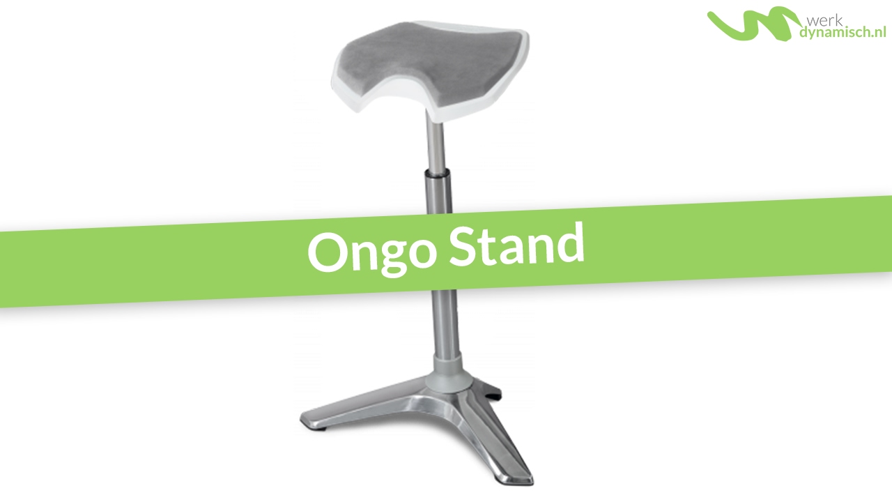 Ongo Stand stastoel