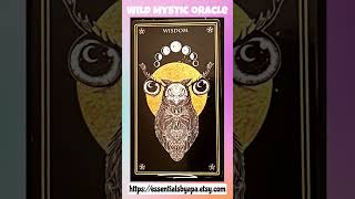 🌙 Midnight Animal Kingdom card reading #meaning 🃏#owl 🃏#cardreading #asmrvideo #animals 💫✨🍀 by Airam Cordido 13 views 5 months ago 1 minute, 45 seconds