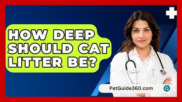 How Deep Should Cat Litter Be? - PetGuide360.com