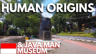 Are these the origins of humans? & Visiting the Java Man Museum Wealth