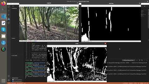 Early Obstacle Avoidance Algorithm for Tello Drone