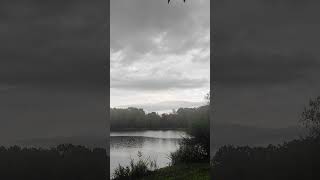 Sonnevijver Bungalow Lanaken