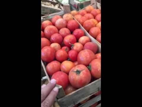 ارتفاع اسعار خضار جمعية سعد المصطنعة