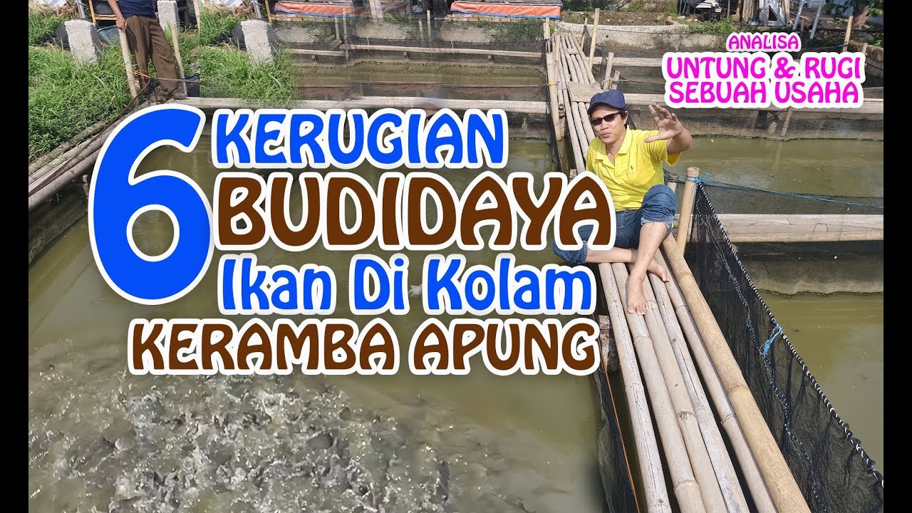 HATI2..! Wajib Tahu Resiko dan Kerugian Ternak Sistem Keramba