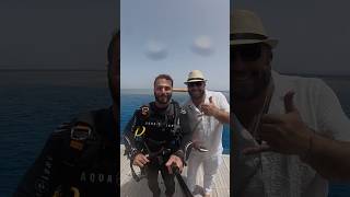 Everything I Saw Scuba Diving Umm Gamar in Hurghada, Egypt 🇪🇬