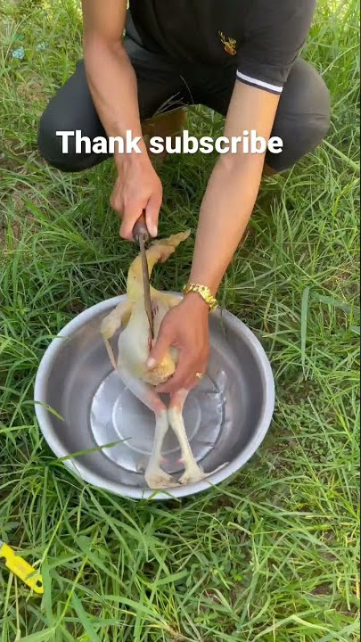 Amazing chicken chef cooking # short video