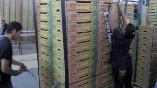 Pineapple Production