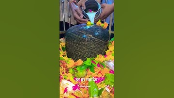 जग का स्वामी है तू#love #mahadev 🙏🙏#shorts #viral #shiv #shortsviral #reel #new #mahakal #short ....