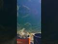 Coffee &amp; Breakfast by @JetboilStoves#travel #camping #outdoors #cooking #view #viral #shorts